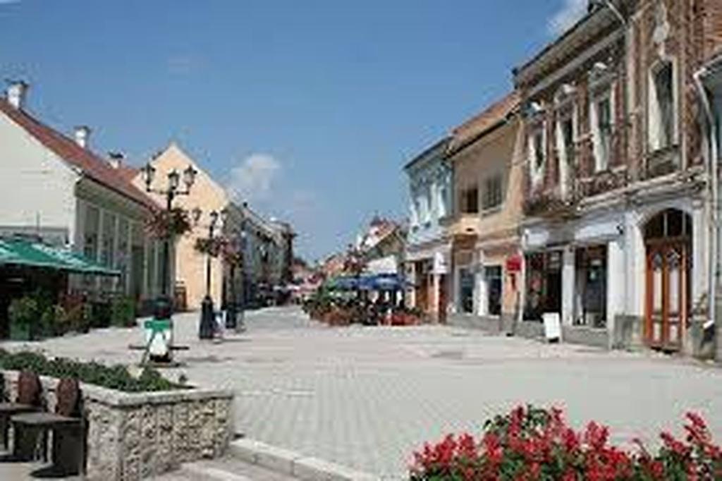 Hotel Betty Panzio Miercurea Ciuc Exterior foto